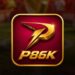 P86K feature image